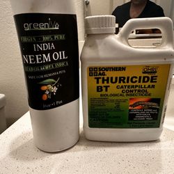 Need Oil And BT For Plants Tomatoes 