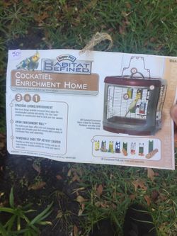 Cockatiel enrichment home