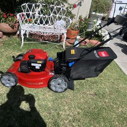 Recycler 22-in Gas Self-propelled Lawn Mower with 163-cc Briggs and Stratton Engine