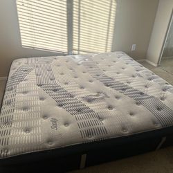King Pillow Top Mattress & Box springs