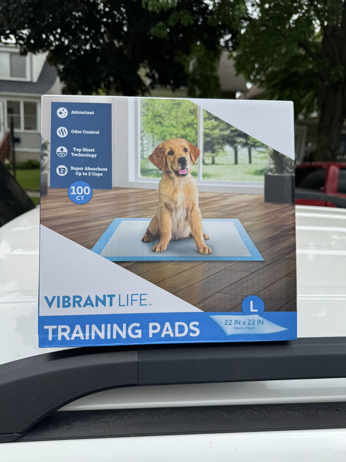 Puppy Pads