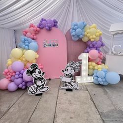 Disneyland Theme Set Up 