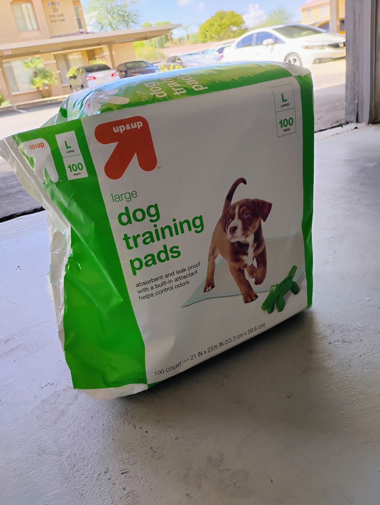 Dog Pads
