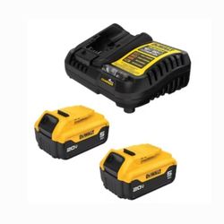 DEWALT 20V 2-Pack Lithium-ion 5.0Ah Battery and Charger (Model: DCB205-2C)