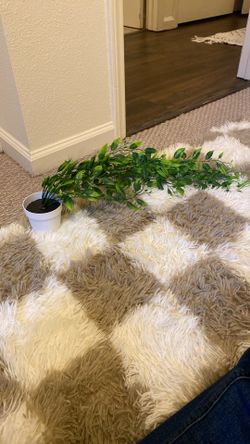 Fake Plant