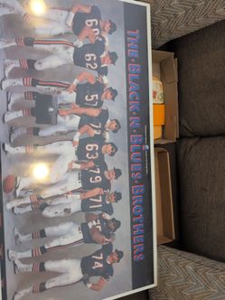 Bears boarded poster