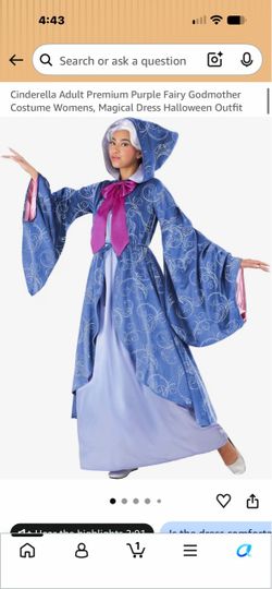 Cinderellas fairy god mother