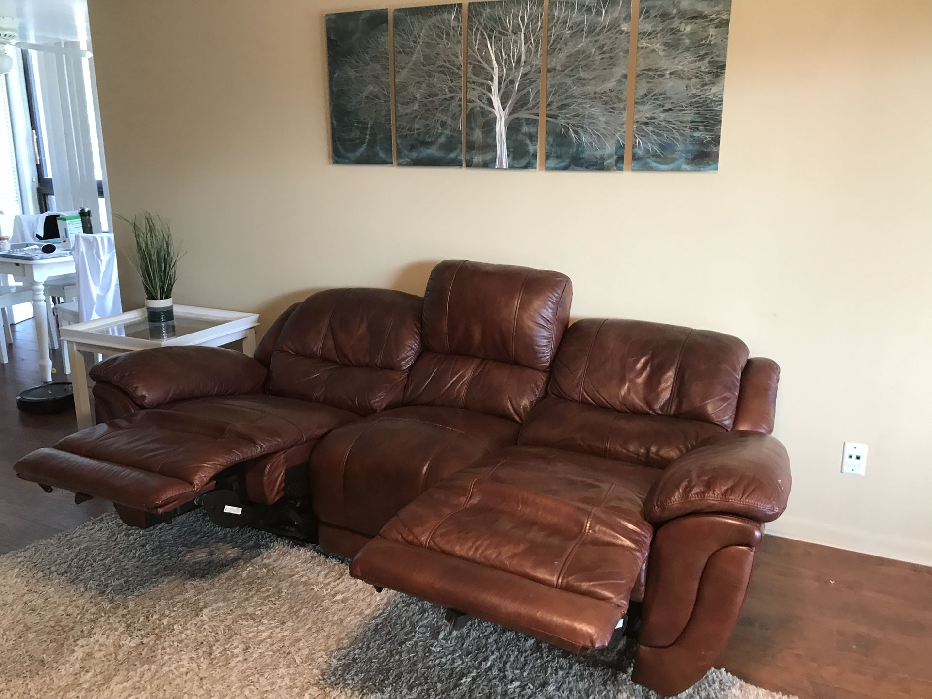 Real Leather Double Power Reclining Sofa