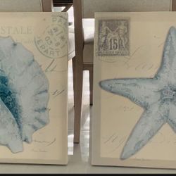 Two piece seashell canvas set 