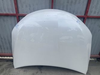 2019-2024 Toyota Camry Hood