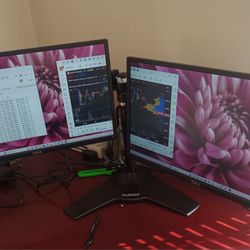 Two Monitors and a dual Stand 