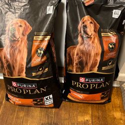 Proplan Dog Food