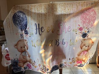 Gender Backdrop