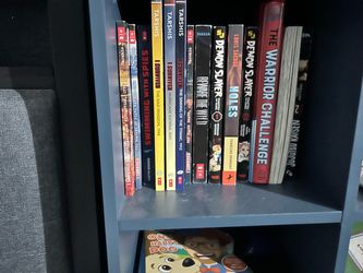 Mixed Book Lot – I Survived, Demon Slayer, Holes & More
