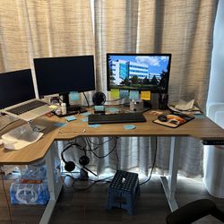 Electric Adjustable Desk 