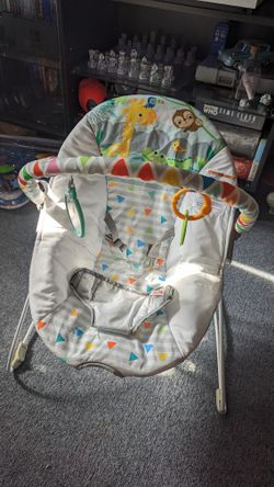 Baby Bouncer