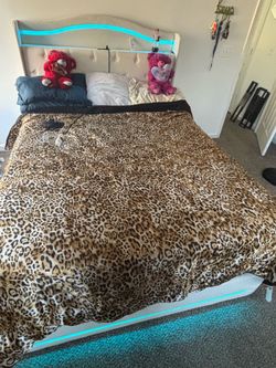 Queen Bed Frame with LED Lights and Headboard
