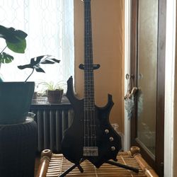 Bass Guitar ( Gently Used )