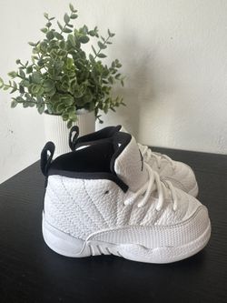 Toddler Jordan 12