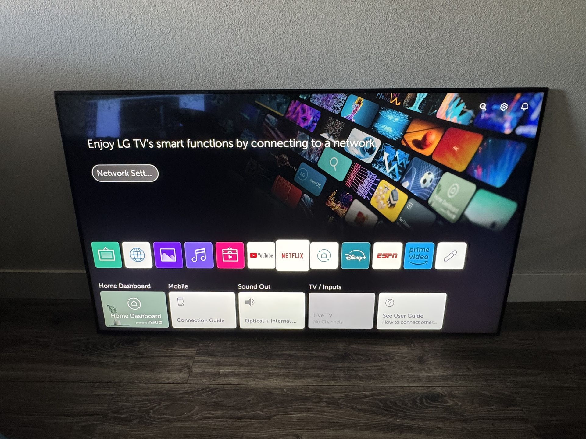 LG 65 Inch TV