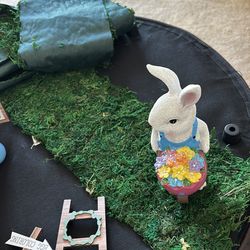 10 cash Near AV College have 4 strips moss perfect for easter morning table :) 5 cash for the 4