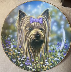A Collectible Plate