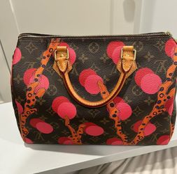 Louis Vuitton Speedy 30