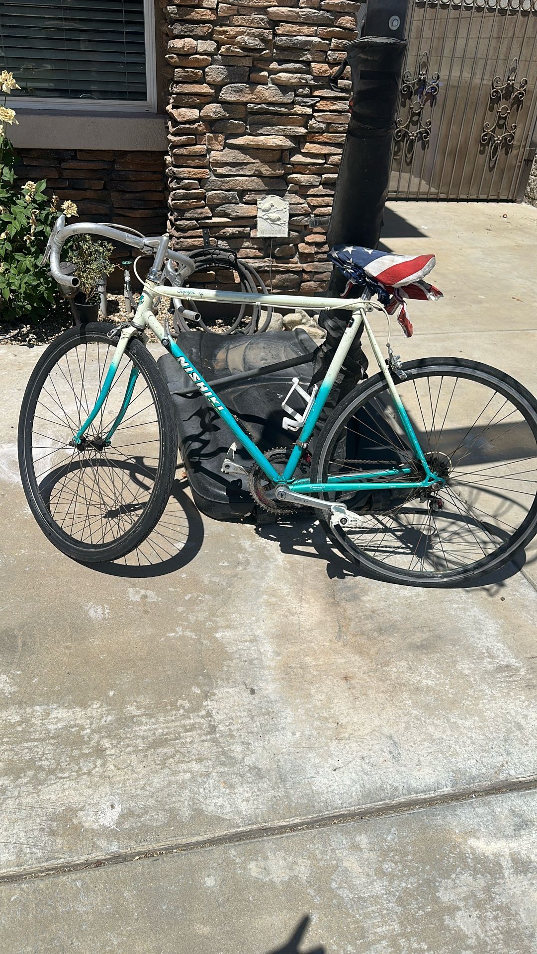 Nishiki Bicycle 26”- 28