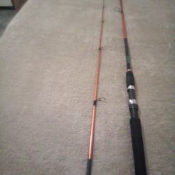 6'6"   Daiwa D|Force / Medium Action - 2 piece,Spinning Rod 