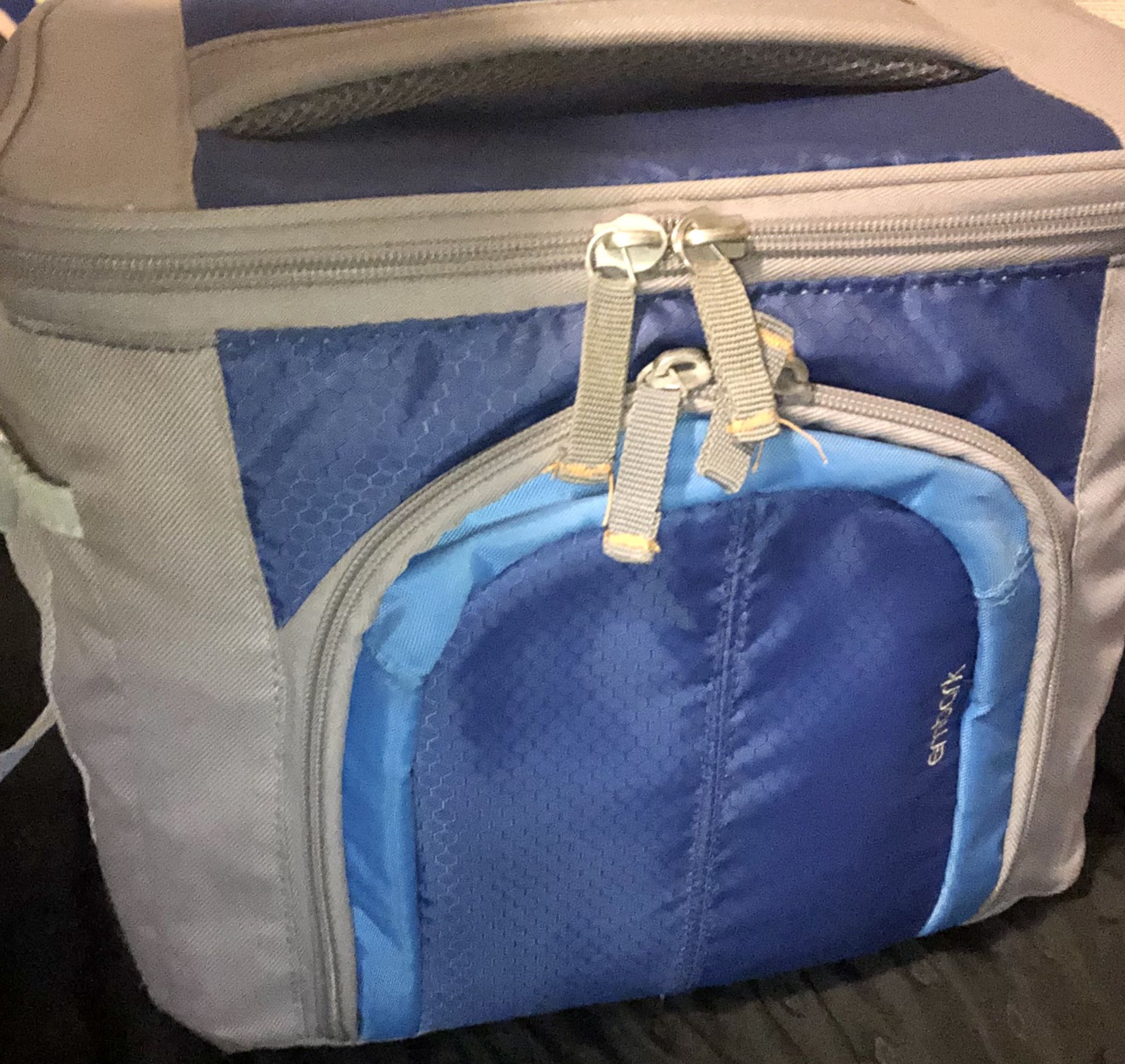 Embark Gray & Blue Cooler 9” H x 11”L x 8”W Shoulder Bag & Handle w/2 Side Mesh Pockets.  $10 pickup/$14 Shipping