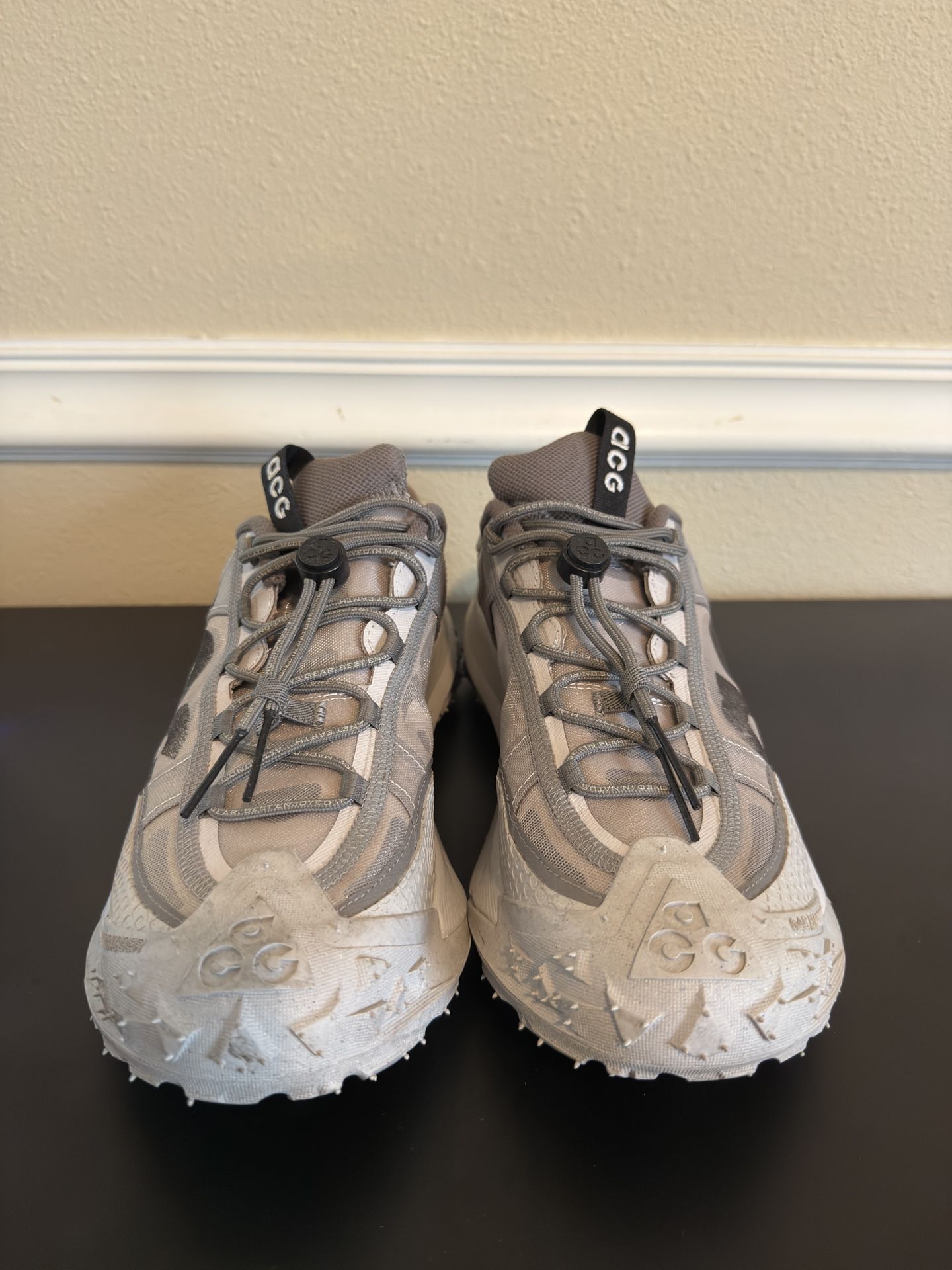 Nike ACG Shoes 