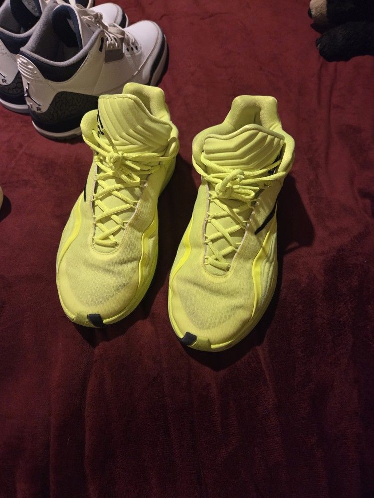 Sample Giannis Nike Shoes