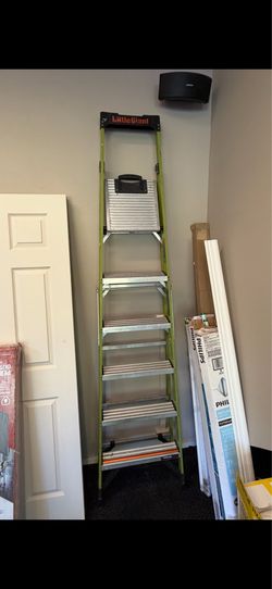 Little Giant 8’ Step Ladder