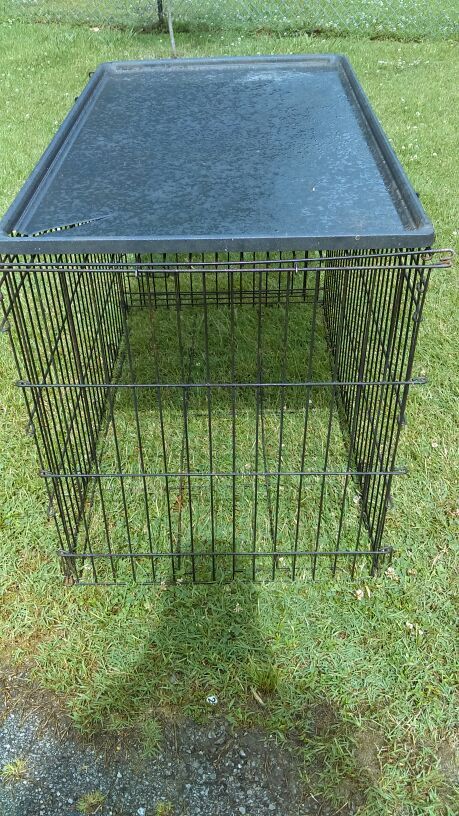 Xlarge kennel
