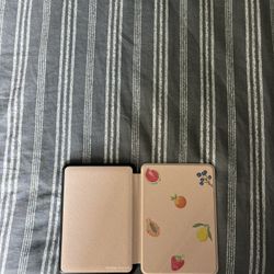 Original Kindle Case 
