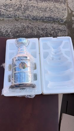 Chicago Blackhawks 2013 Stanley Cup Champions Replica Trophy NHL COA #1080