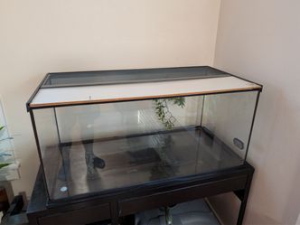 40 Gallons Terrarium and a lot of stuff for bearded dragon