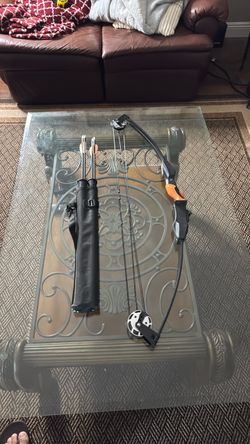 Used Composite Bow and Arrows