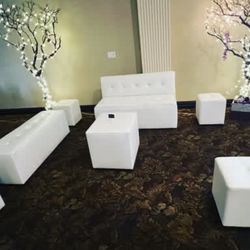 Lounge. Furniture