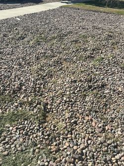 Poop Removal s E R V I C E E S