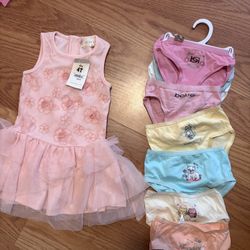 Pink Toddler Dress And Undies 