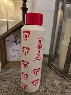 Disney flask water