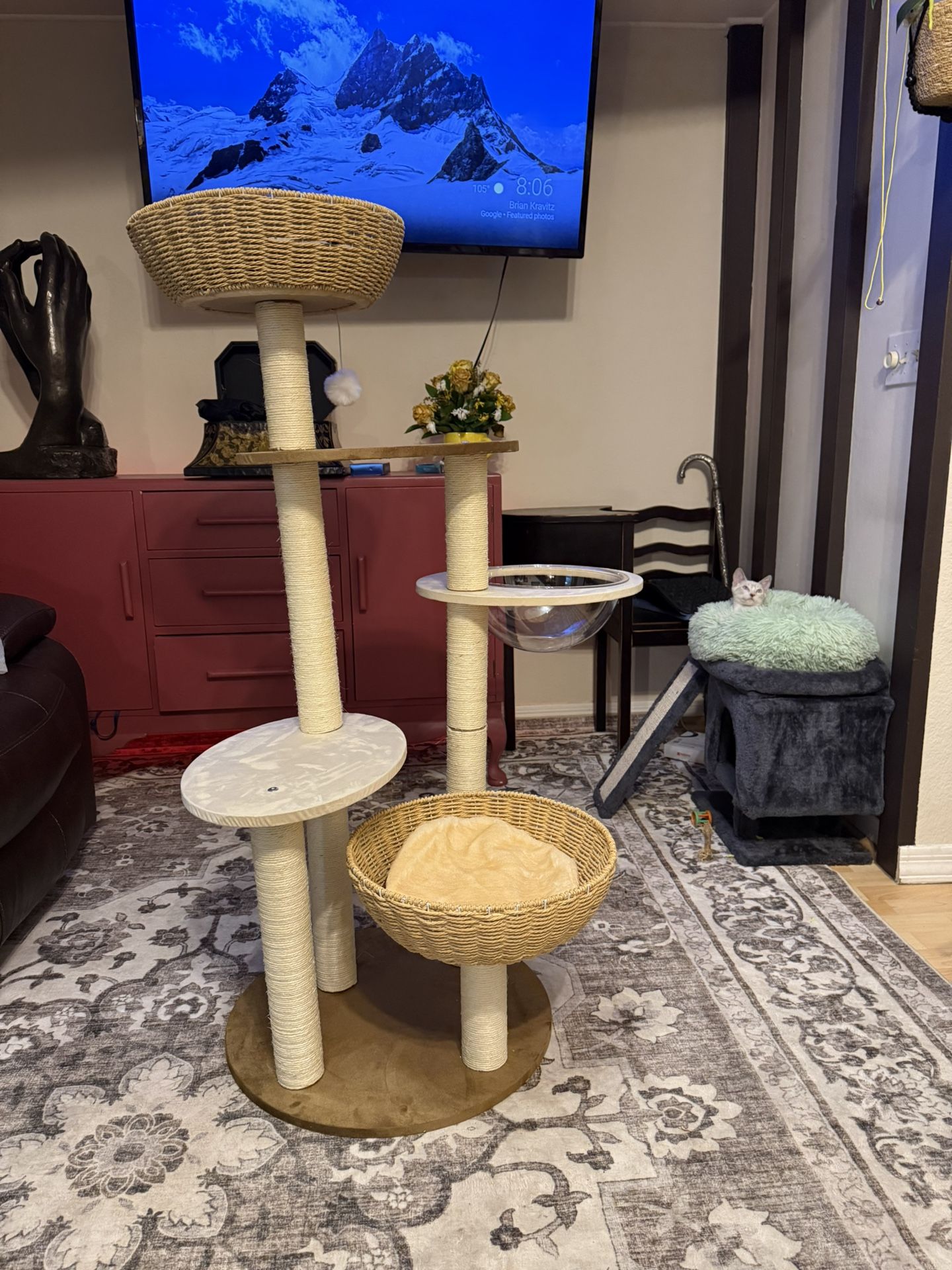 Cat Tree