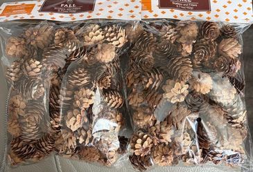 2 Bags Crafting Christmas Tree Pine Cones Pinecones