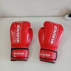 New boxing gloves for over 14 years old.
Only 8 dollars. 
Incredible deal.