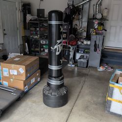 Free standing punching bag