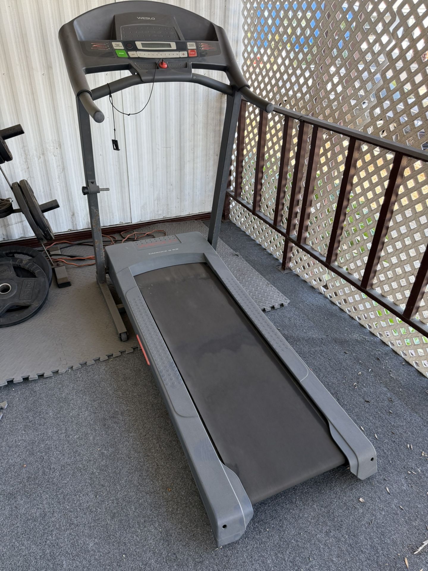 Working Treadmill