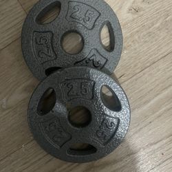 2.5 lb weights 