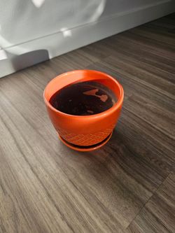 Orange Ceramic Planter with Saucer