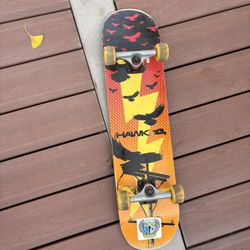 Standard Hawk Skateboard 